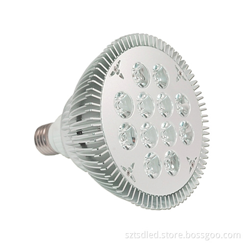 High Lumens 12X1w PAR38 High Power LED Spotlight (TD-XP38W12)
